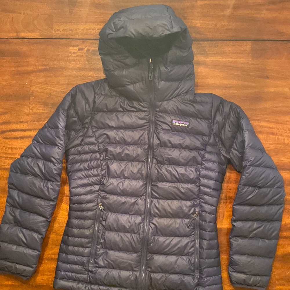 Patagonia Down Sweater Hoody
